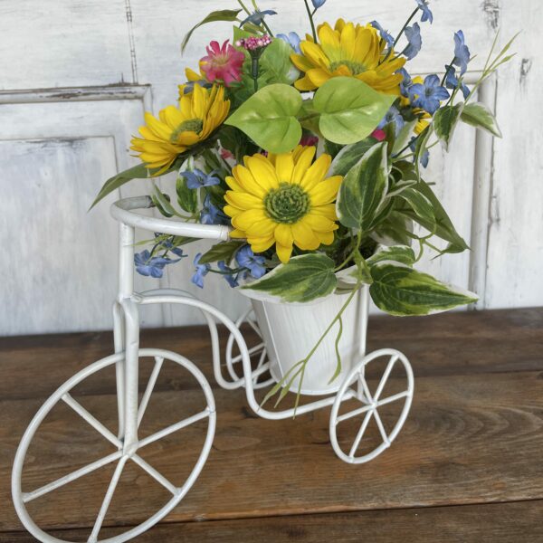 Tricycle Planter